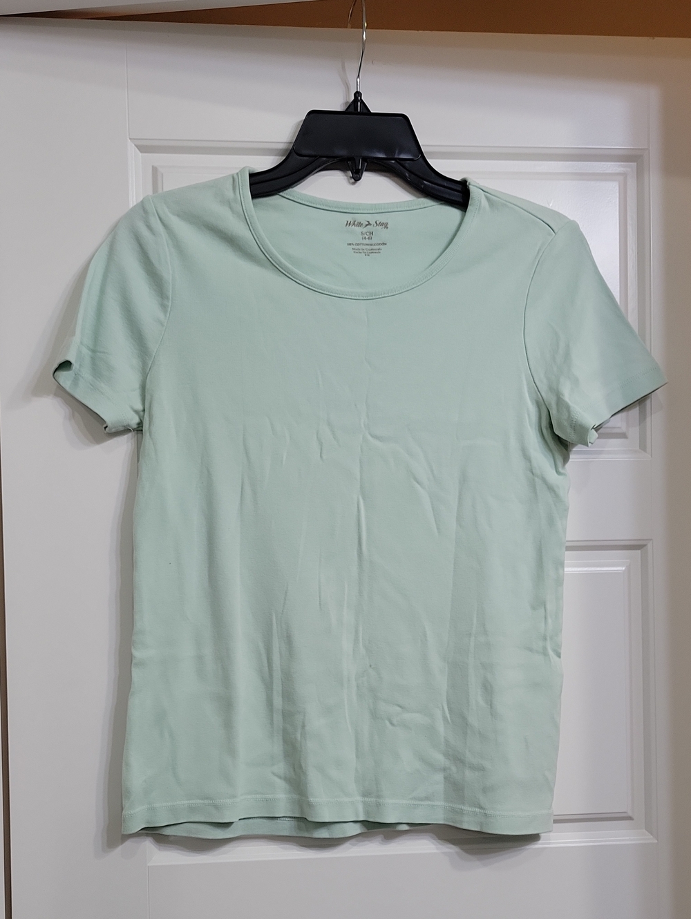 Hanes Everyday Crew Neck Tee - Mint Green